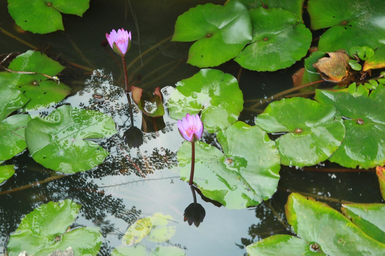 Khach San Linh Huong Hotel Son La Eksteriør billede