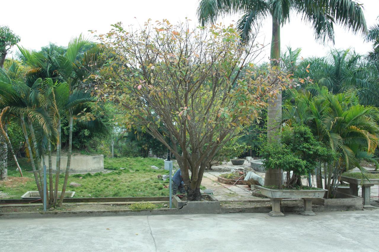 Khach San Linh Huong Hotel Son La Eksteriør billede